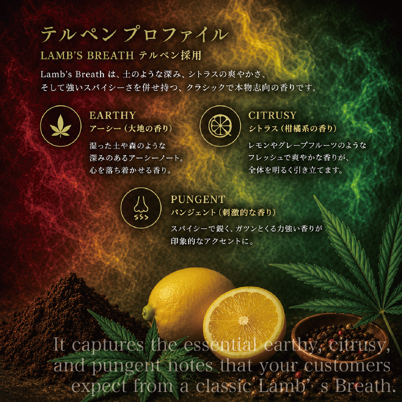 【SATIVA】H4CBH+CRDB LIQUID