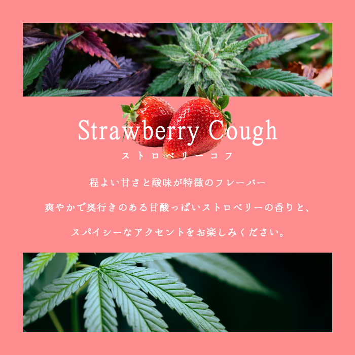 LHS® 道産子大麻CBN85％ LIQUID
