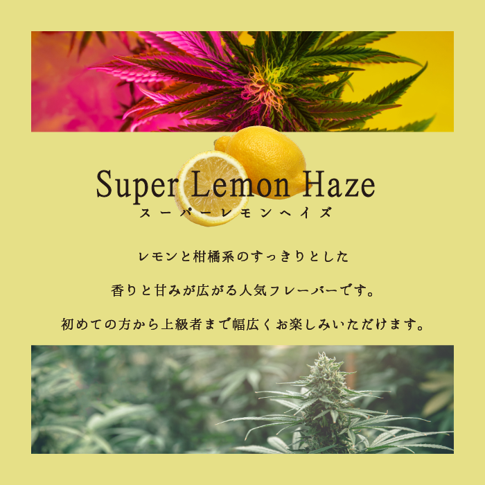 LHS® 道産子大麻CBN85％ LIQUID