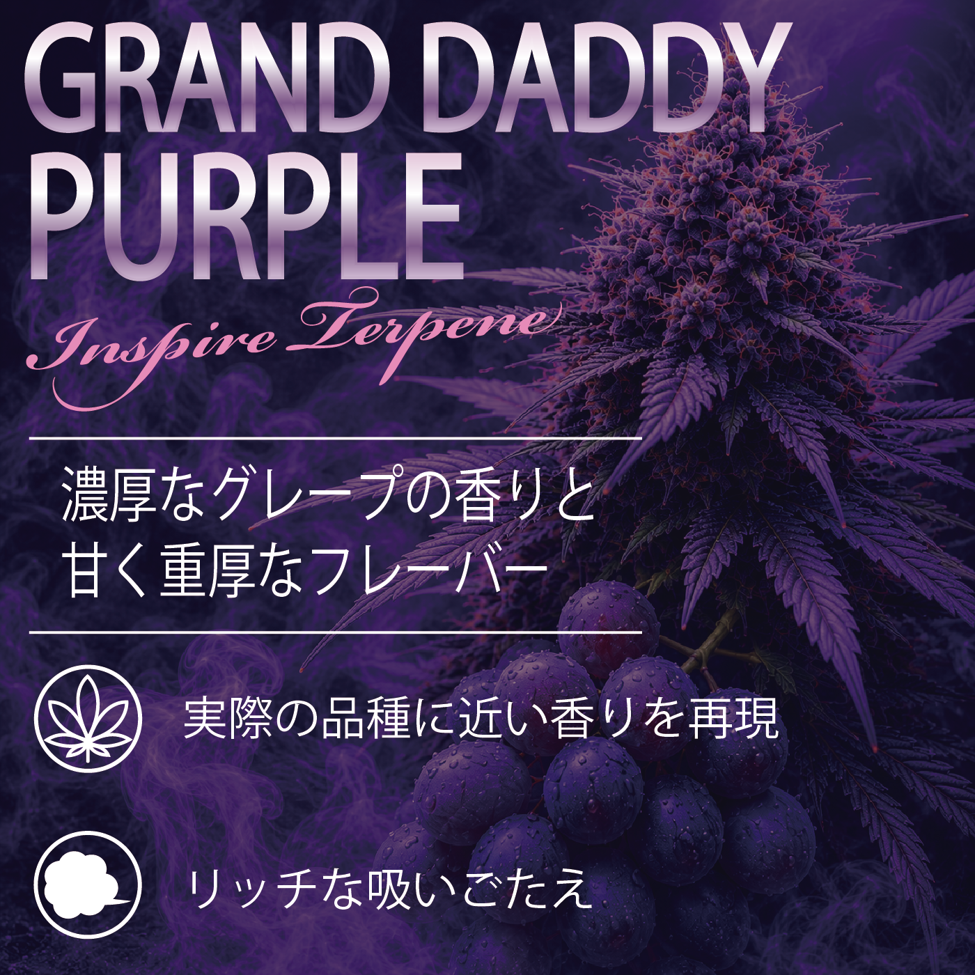 【INDICA】H4CBH+CRDP LIQUID